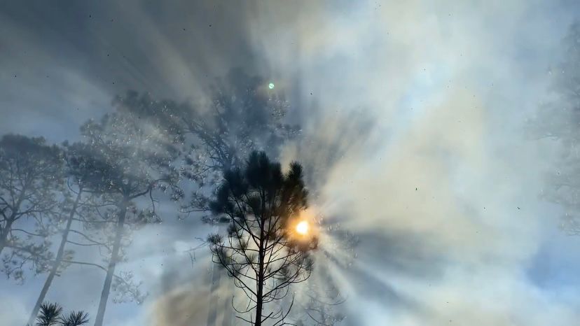 The sun peeks through the smoke during a controlled burn in Pender County. (Spectrum News 1/Natalie Mooney)